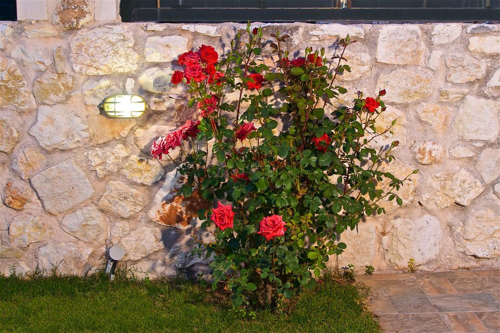 Superb Villa With Private Pool Peaceful Location Sami  Exterior foto